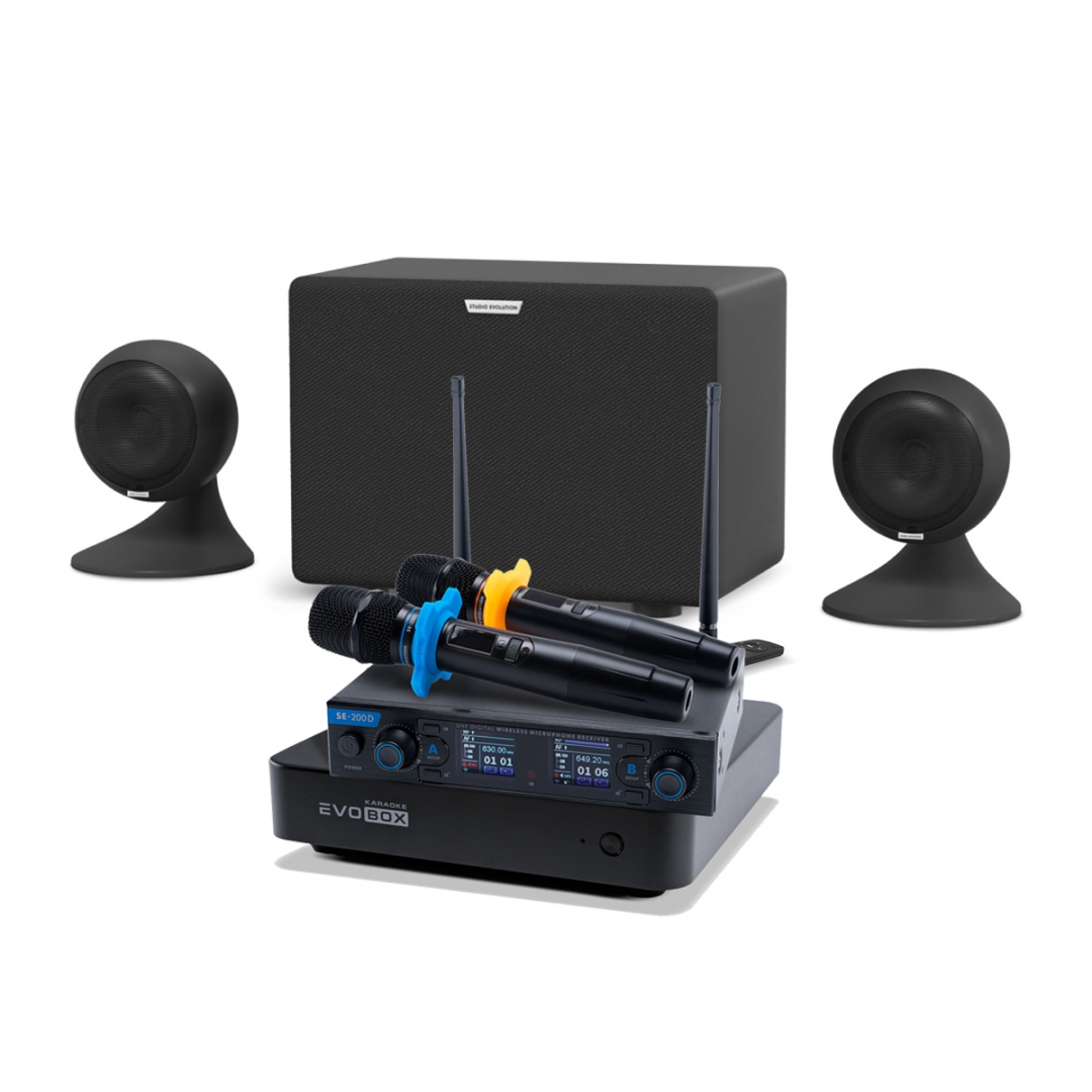 караоке-комплект EVOBOX + EvoSound Sphere 2.1 в Краснодаре