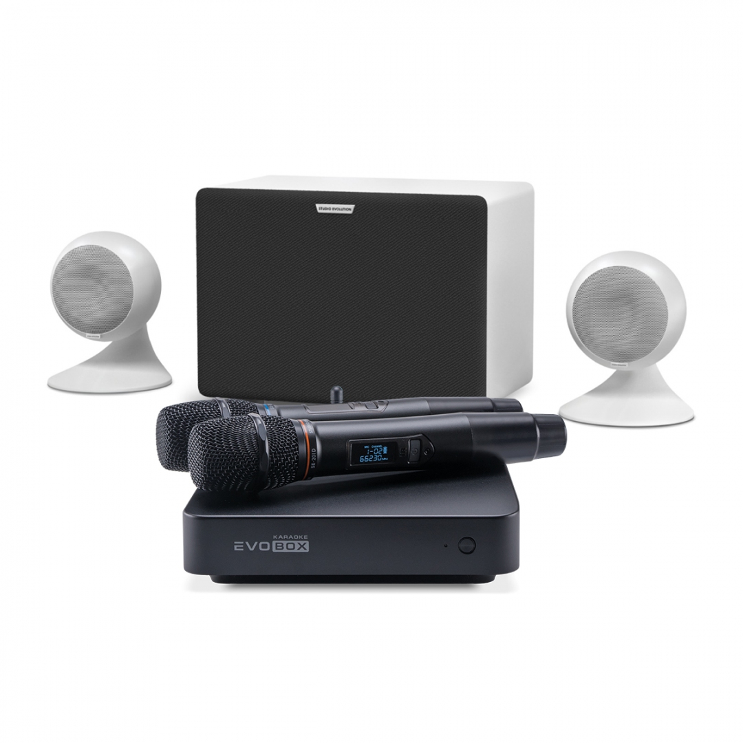 караоке-комплект EVOBOX Classic + EvoSound Sphere 2.1 в Краснодаре