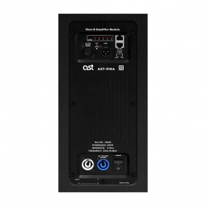 Активная акустическая система AST-310A в Краснодаре