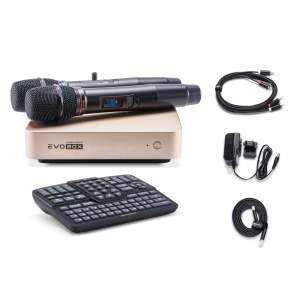 EVOBOX Classic караоке-система для дома в Краснодаре